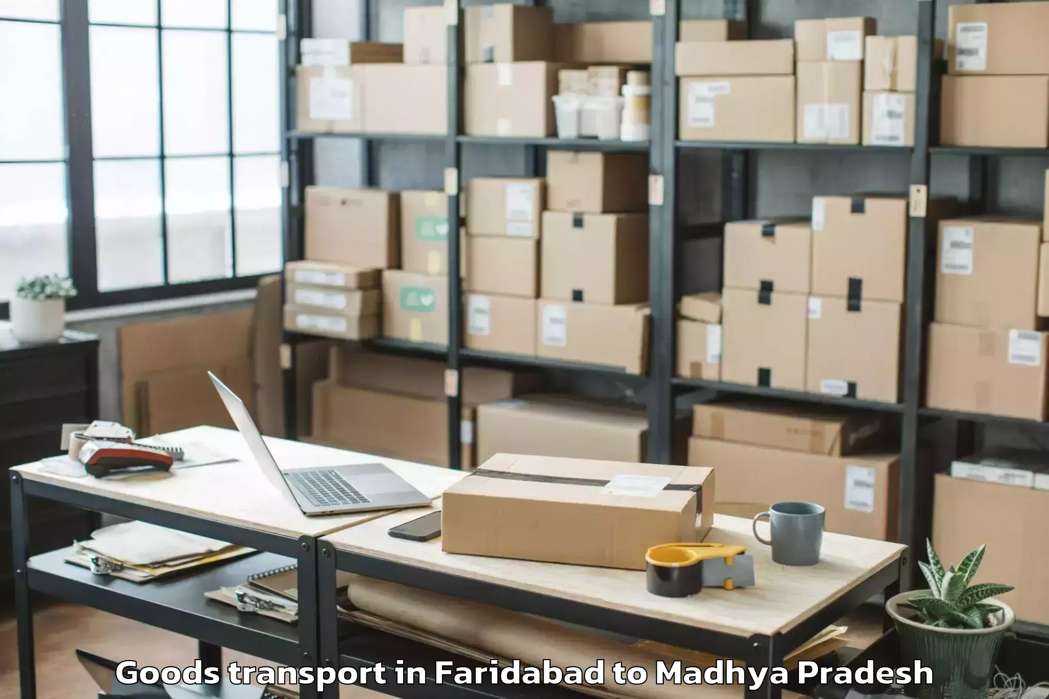 Book Faridabad to Mungaoli Goods Transport Online